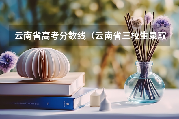 云南省高考分数线（云南省三校生录取分数线）