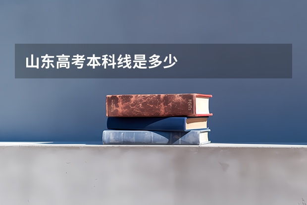 山东高考本科线是多少