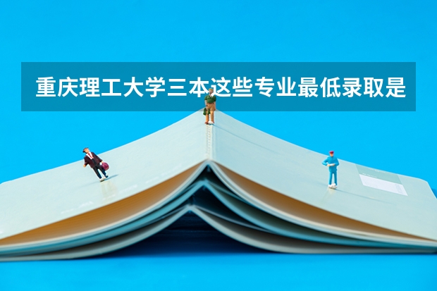 重庆理工大学三本这些专业最低录取是多少分啊？