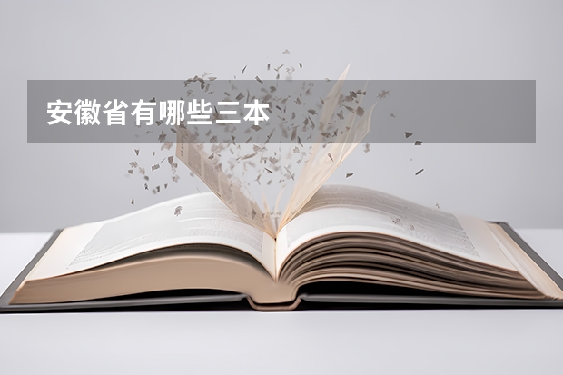 安徽省有哪些三本