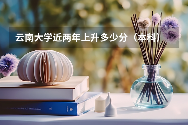 云南大学近两年上升多少分（本科）