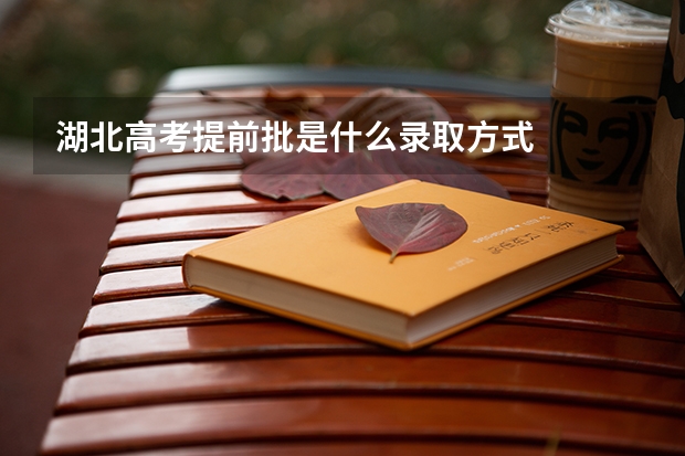 湖北高考提前批是什么录取方式