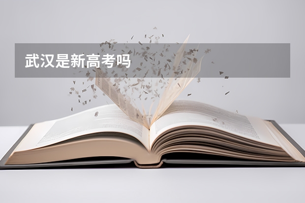 武汉是新高考吗