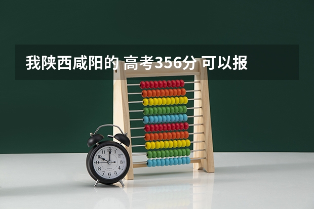 我陕西咸阳的 高考356分 可以报什么学校？